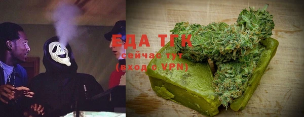 индика Алзамай
