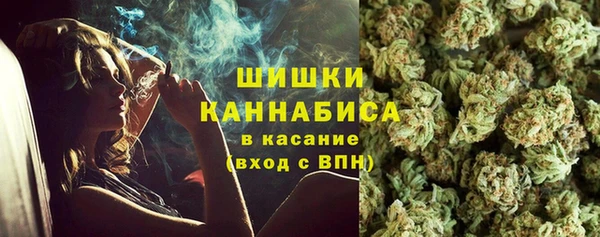 ECSTASY Сафоново